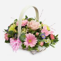 New Baby Basket